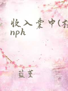 收入囊中(校园nph