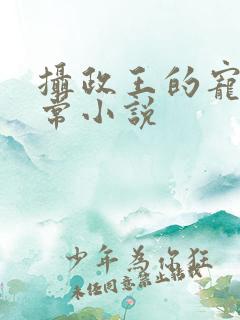 摄政王的宠妻日常小说