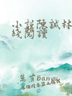 小说陈诚林瑶在线阅读