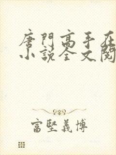 唐门高手在异世小说全文阅读