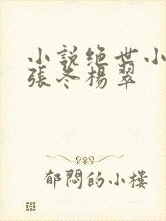 小说绝世小仙医张冬杨翠