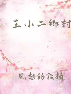 王小二乡村野事