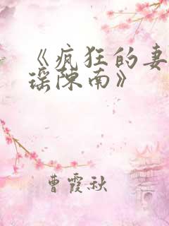 《疯狂的妻子林瑶陈南》