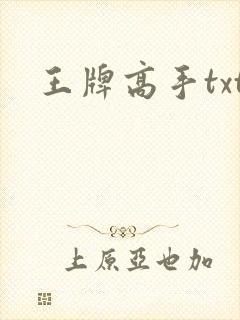 王牌高手txt