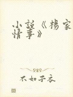 小说《杨家洼的情事》