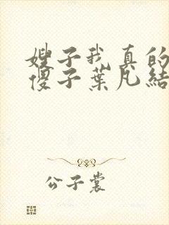 嫂子我真的不是傻子叶凡结局