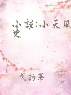 小说:小天风流史