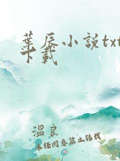 叶辰小说txt下载