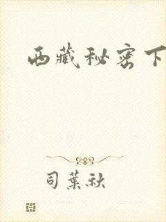 西藏秘密下载