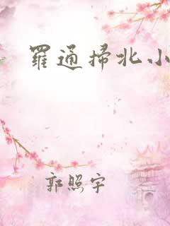罗通扫北小说
