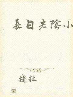 长日光阴小说