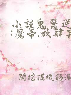 小说鬼医逆天妃:魔帝,放肆宠