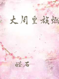 大周皇族燃文
