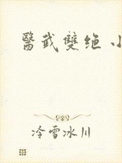 医武双绝 小说