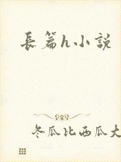 长篇h小说