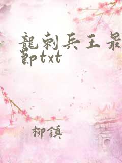龙刺兵王最新章节txt