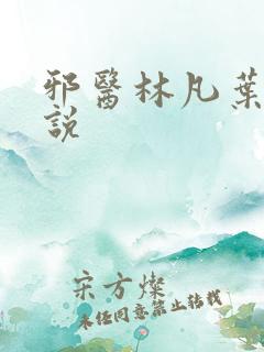 邪医林凡叶惜小说