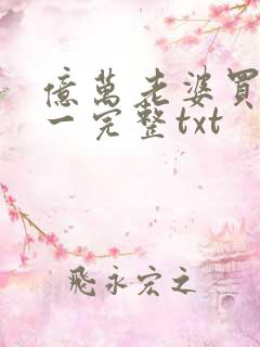 亿万老婆买一送一完整txt