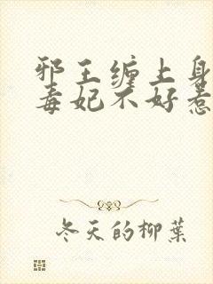 邪王缠上身神医毒妃不好惹免费