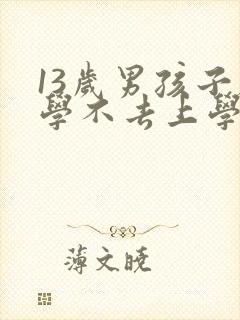 13岁男孩子厌学不去上学怎么办