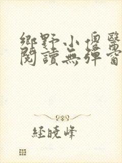 乡野小傻医小说阅读无弹窗