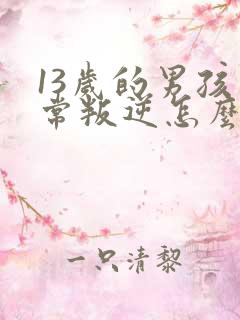 13岁的男孩非常叛逆怎么办