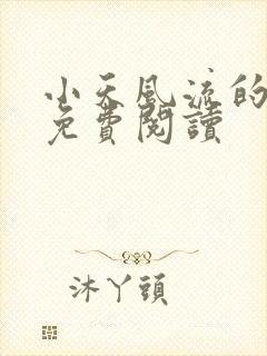 小天风流的小说免费阅读