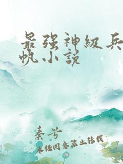 最强神级兵王杨帆小说