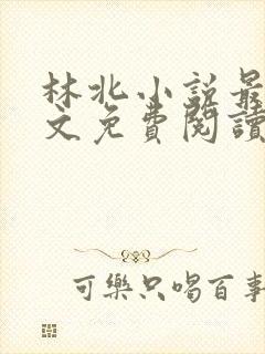 林北小说最新全文免费阅读