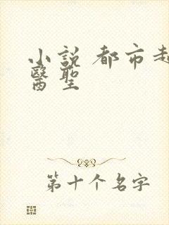 小说 都市超级医圣