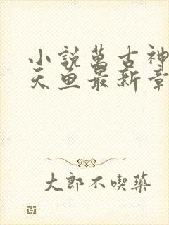 小说万古神帝飞天鱼最新章节列表最