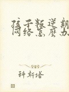 孩子叛逆期沉迷网络怎么办