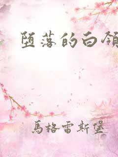 堕落的白领