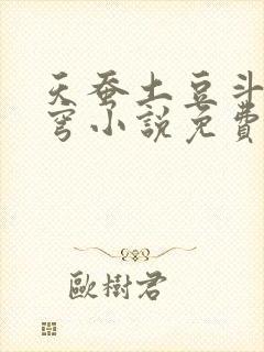 天蚕土豆斗破苍穹小说免费阅读