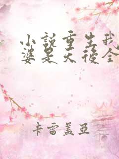 小说重生我的老婆是天后全文阅读