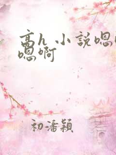 高h 小说嗯嗯嗯啊