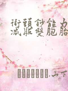 街头钞能力无删减版双胞胎