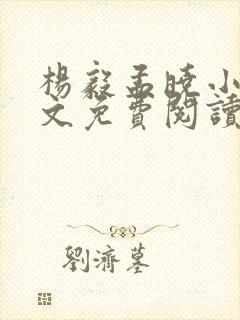 杨毅孟晓小说全文免费阅读