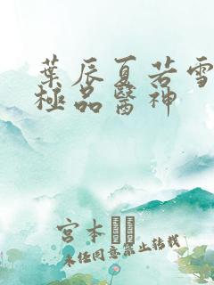 叶辰夏若雪都市极品医神