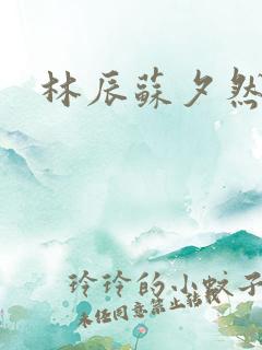 林辰苏夕然小说