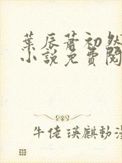 叶辰萧初然全文小说免费阅读