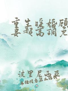 重生暖婚顾少宠妻超高调免费阅读