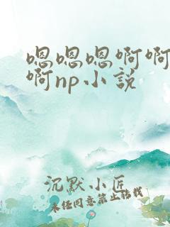嗯嗯嗯啊啊啊啊啊np小说