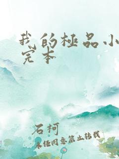我的极品小姨 完本