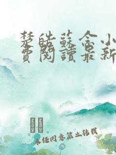 楚皓苏念小说免费阅读最新章节