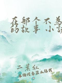 在那个不为人知的故事 小说