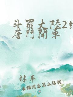 斗罗大陆2绝世唐门开车