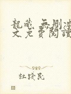 龙藏 无删减全文免费阅读