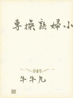 专操熟妇小说