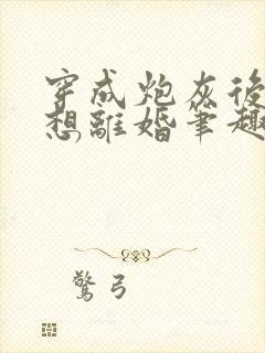 穿成炮灰后我只想离婚笔趣阁